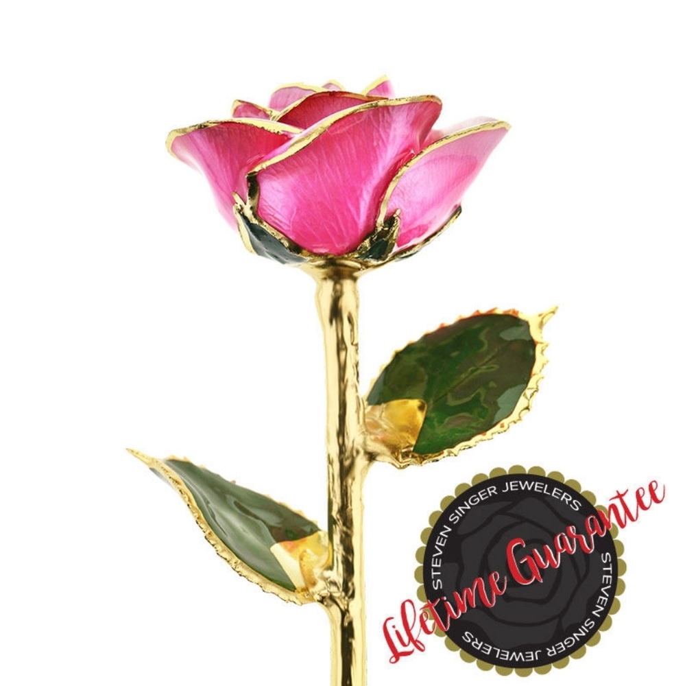Steven Singer 24Kt Preserved and Dipped Rose